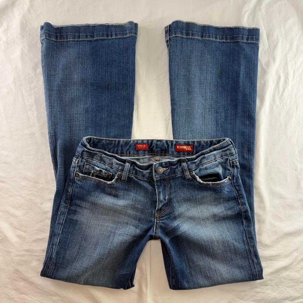 Express Stella Fit & Flare EUC
